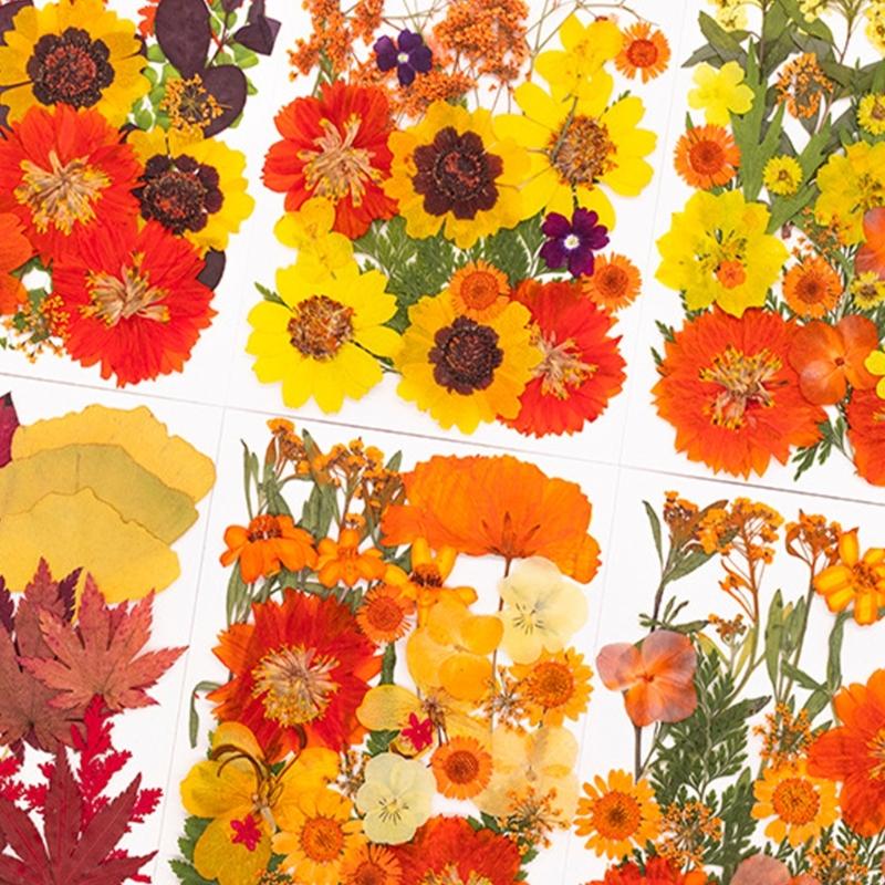 Art Craft With Leaves - Gedroogde geperste bloem voor hars mallen